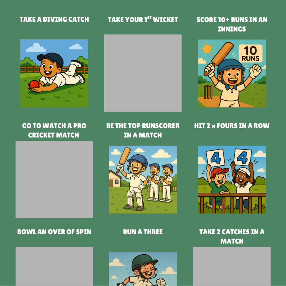 Cricket Achievements