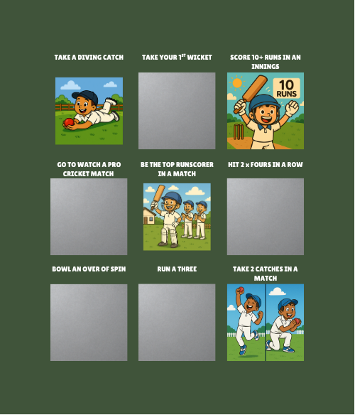 CRICKET ACHIEVEMENTS
